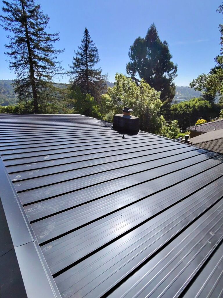 WhatsApp Image 2026-03-14 at 3.37