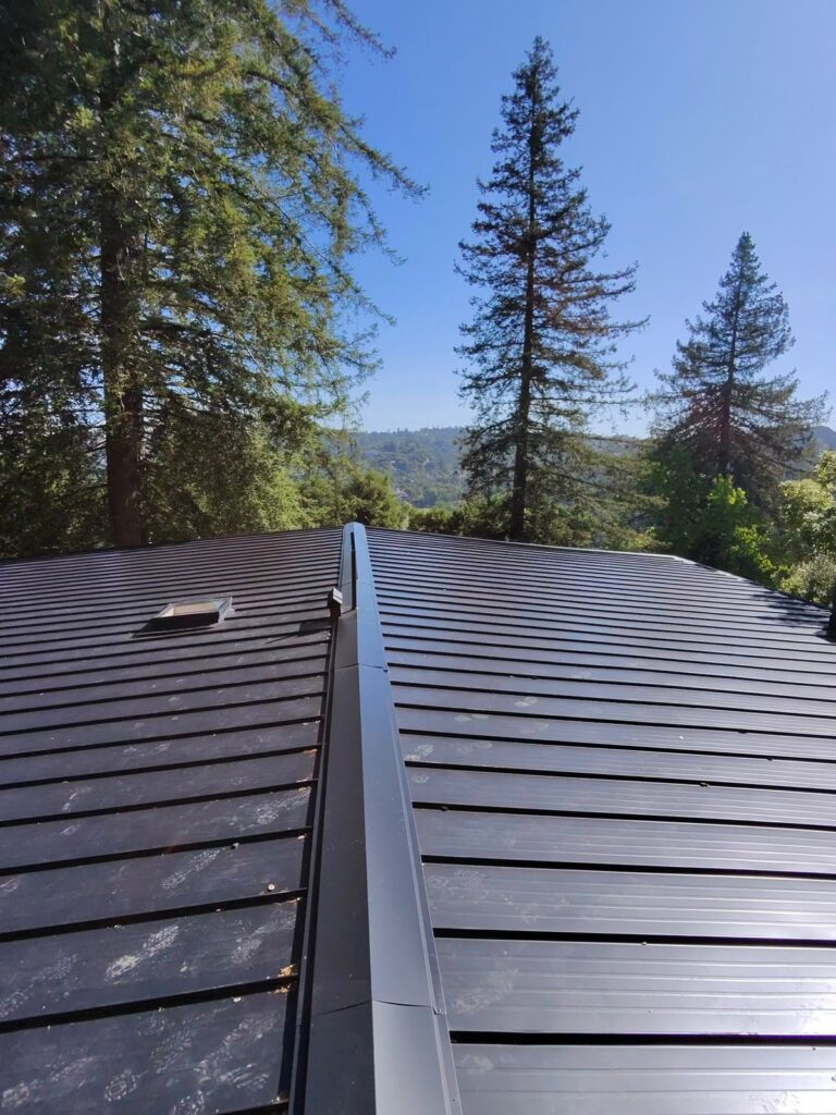 WhatsApp Image 2026-03-14 at 3.37